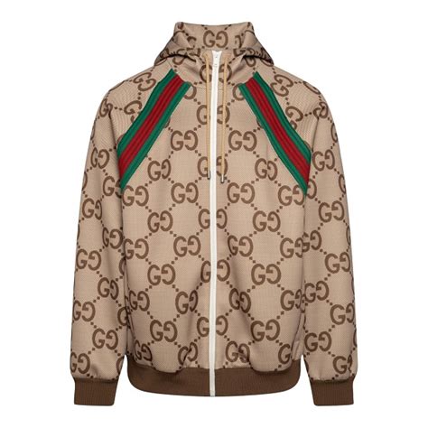 materiale felpa gucci